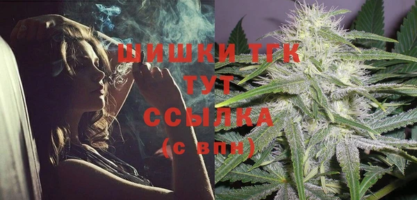 apvp Арсеньев