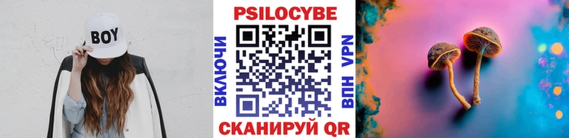 Псилоцибиновые грибы GOLDEN TEACHER  где можно купить наркотик  Бежецк 